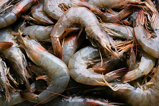 Prawns Small