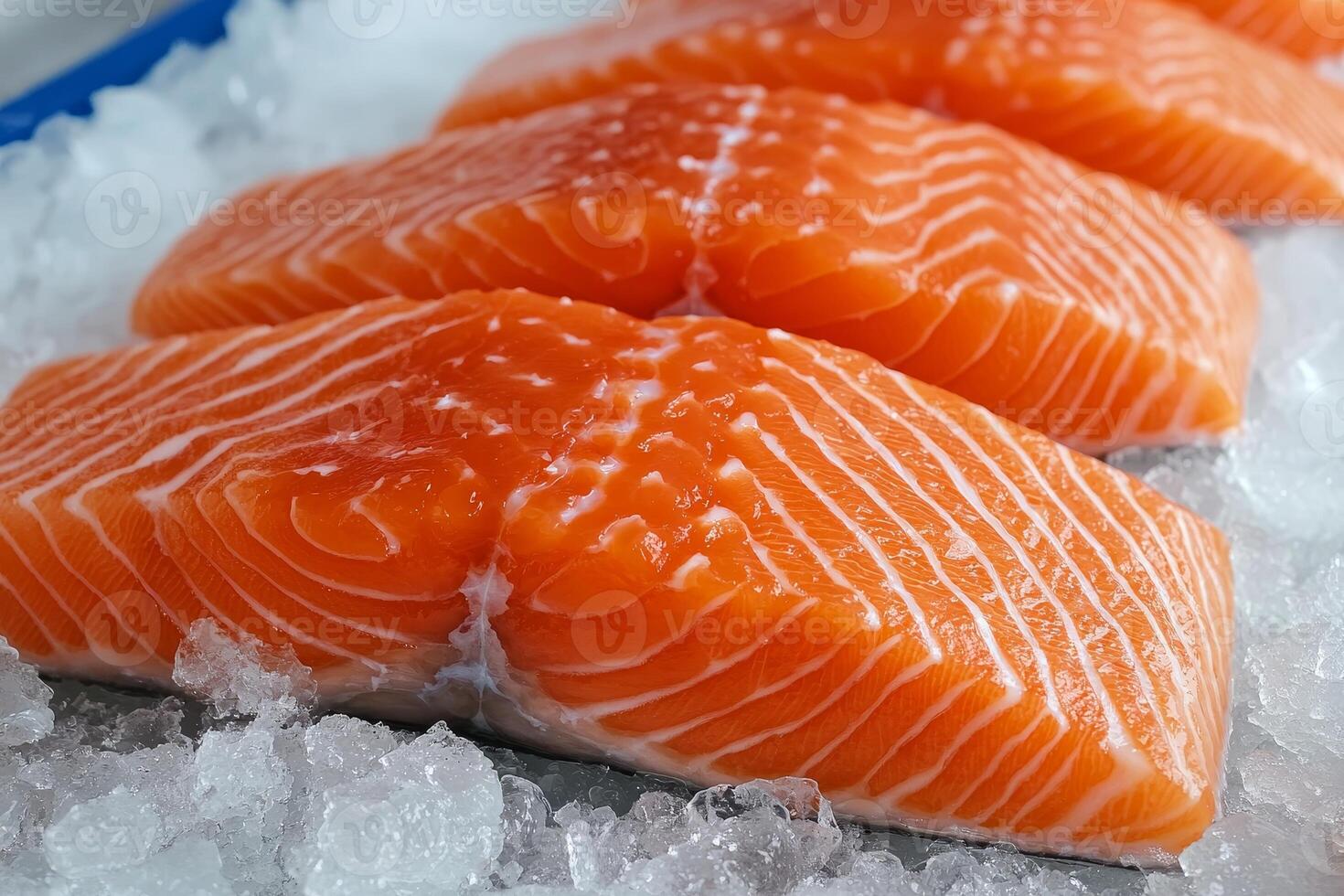 Salmon Filets