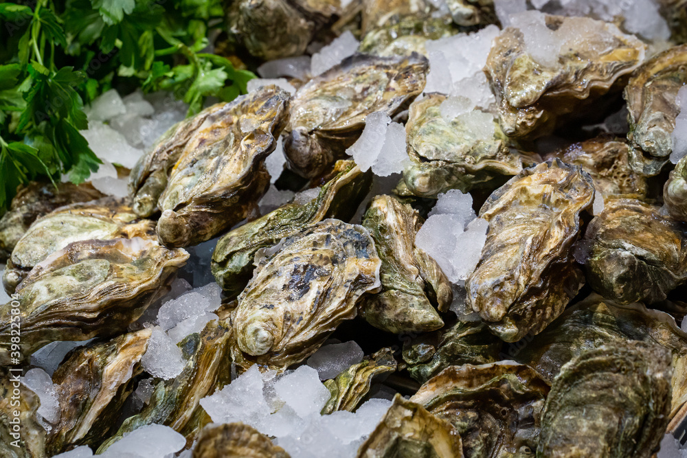 Local Oysters